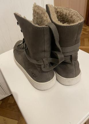 Утепленные кеды от ugg на цигейке3 фото