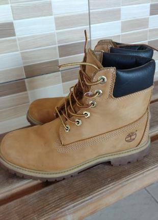 Черевики timberland