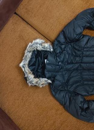 Куртка пуховик оригинал eddie bauer stormrepel dwr3 фото