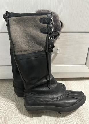 Сапоги женские зимние ugg