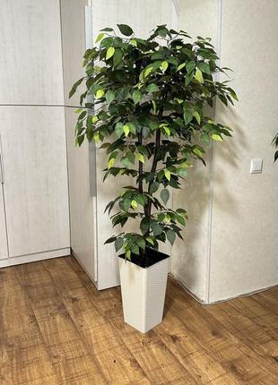 Деревья искусственные