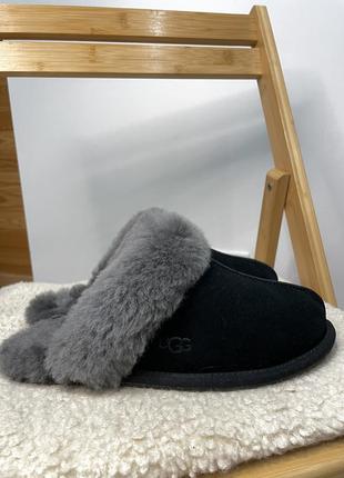 Ugg scuffette ll  оригінал