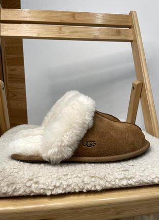 Ugg scuffette il оригінал