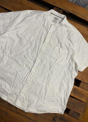 Мужская хлопковая рубашка с коротким рукавом next (некст 4хлрр идеал оригинал белая)