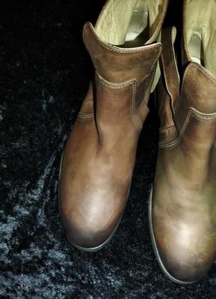 Челсі  shoe the bear 42