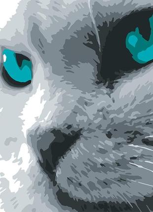 Полотно-раскраска кот, цветной холст, 40*50 см, без красок