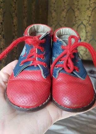 Кожаные детские ботинки от котофей 19 размер3 фото