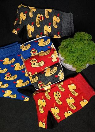 Подарочный набор носков | носки на подарок «уточки» 3 пары