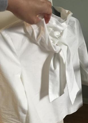 Cos шикарная белая блузка с галстуком галстуком бантом