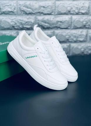 Кроссовки мужские lacoste осенняя мужская обувь лакоста