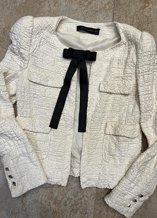 Пиджак жакет куртка