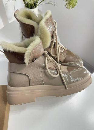 Ботинки  ugg зима2 фото