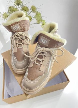 Ботинки  ugg зима3 фото