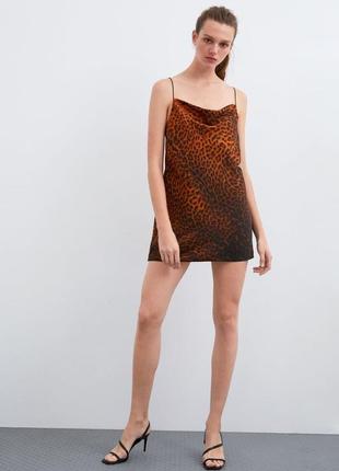 Міні-сукня zara з леопардовим гепардом і тваринним принтом3 фото