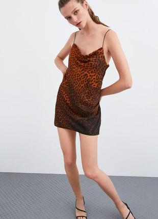 Міні-сукня zara з леопардовим гепардом і тваринним принтом2 фото