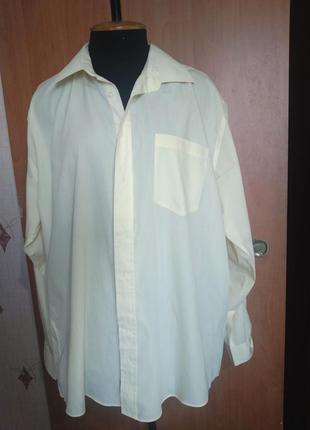 Мужская рубашка taylor&amp;wright большой размер 4xl1 фото