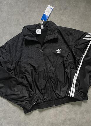 Новые лосины от adidas8 фото