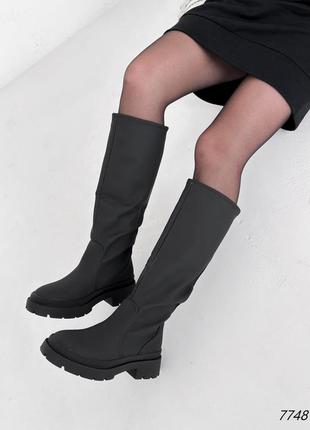 Сапоги матовые