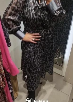 Платье миди с леопардовым принтом и поясом с длинным рукавом, универсальное изысканное платье7 фото