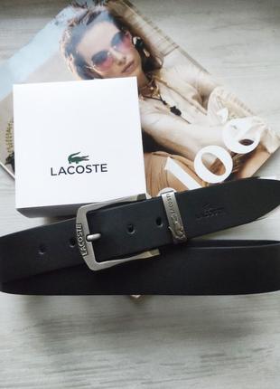 Мужской кожаный ремень lacoste + коробка в подарок!