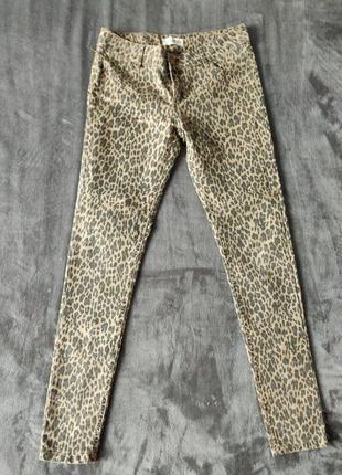 Джинси леопард
