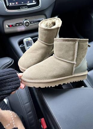 Жіночі замшеві уггі ugg classic mini mokko suede