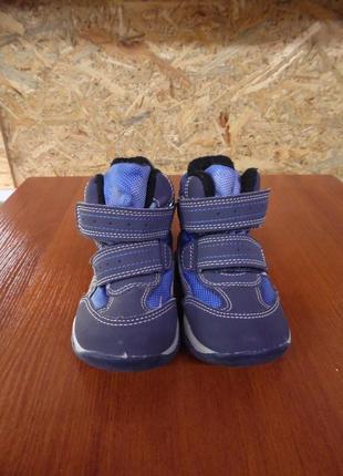 Черевики cortina* 2