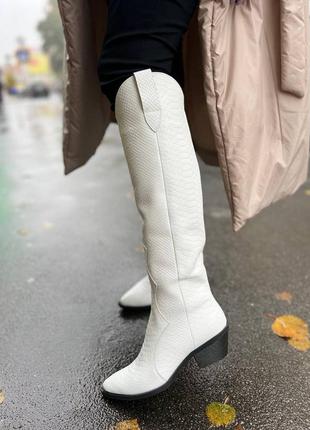 Сапоги котел кожаные белые, демисезонные, зимние на каблуке1 фото