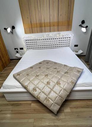 Зимова ковдра 220х220