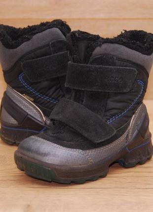 Зимние ботинки, сапожки ecco р.231 фото