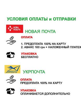 74-80 см напівкомбінезон з легким начосом штани з лямками бавовняні штаніки комбез бавовна утеплені7 фото