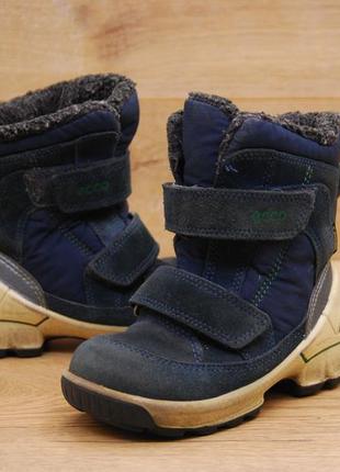 Зимние ботинки, сапожки modtray ecco biom gore-tex р.25