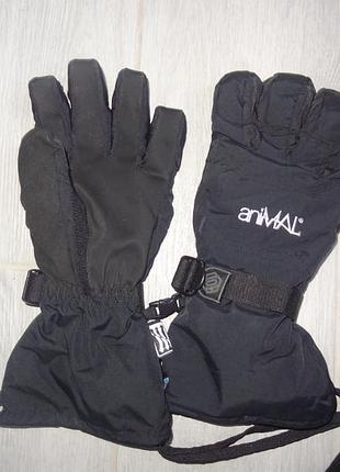 Перчатки шкіра zero zone 6