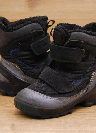 Зимние ботинки, сапожки modtray ecco biom gore-tex р.26