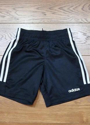 Шорты спорт  adidas1 фото