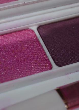 Елітна палетка рум'ян для особи fb paradise blusher violetta anna cosmetics3 фото