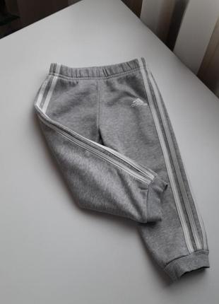 Штани adidas, сірі спортивні штани adodas 12-18м