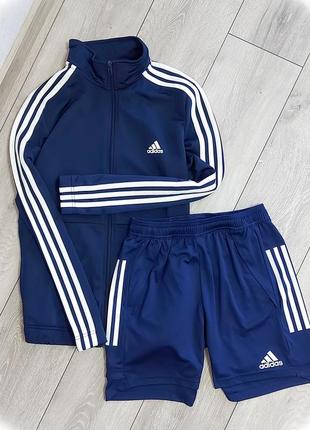Комплект adidas, костюм, олимпийка, шорты, набор