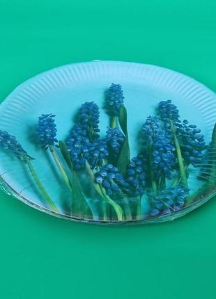 Тарілка паперова 23 см "no63 10 шт (1 пачка)