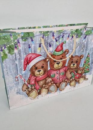 Бумажные пакеты большой горизонтальный 36/22/10  новоголний-16 (12 шт)