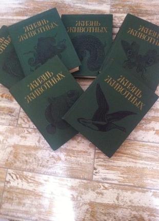 Набор книг о животных. жизнь животных