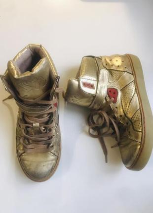 Кроссовки ash 100% кожа  р37/36,5 ст.24-23,5см высокие золотистые