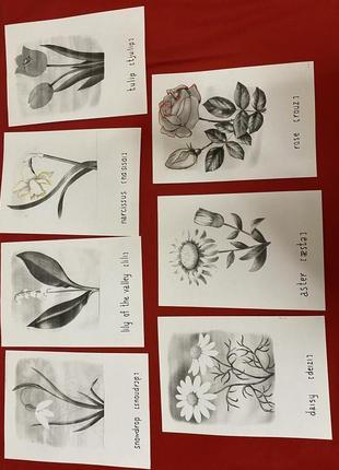 Англійська тематичні картки квіти1 фото