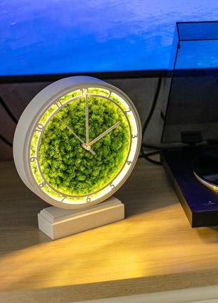 Часы настольные с мхом и подсветкой белые