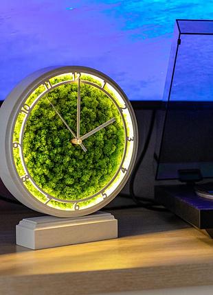 Часы настольные с мхом и подсветкой белые