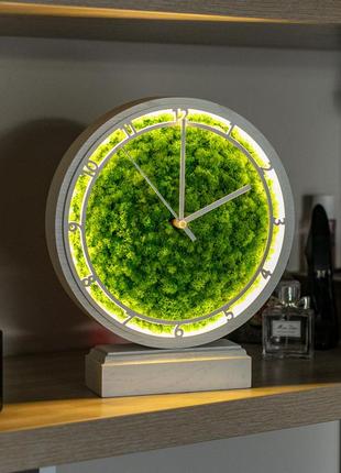 Часы настольные с мхом и подсветкой белые