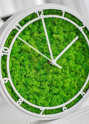 Часы настольные с мхом и подсветкой белые