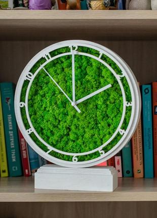 Часы настольные с мхом и подсветкой белые