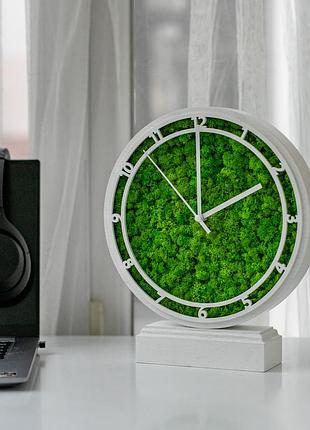 Часы настольные с мхом и подсветкой белые