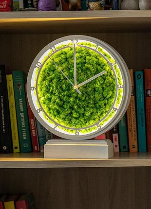 Часы настольные с мхом и подсветкой белые